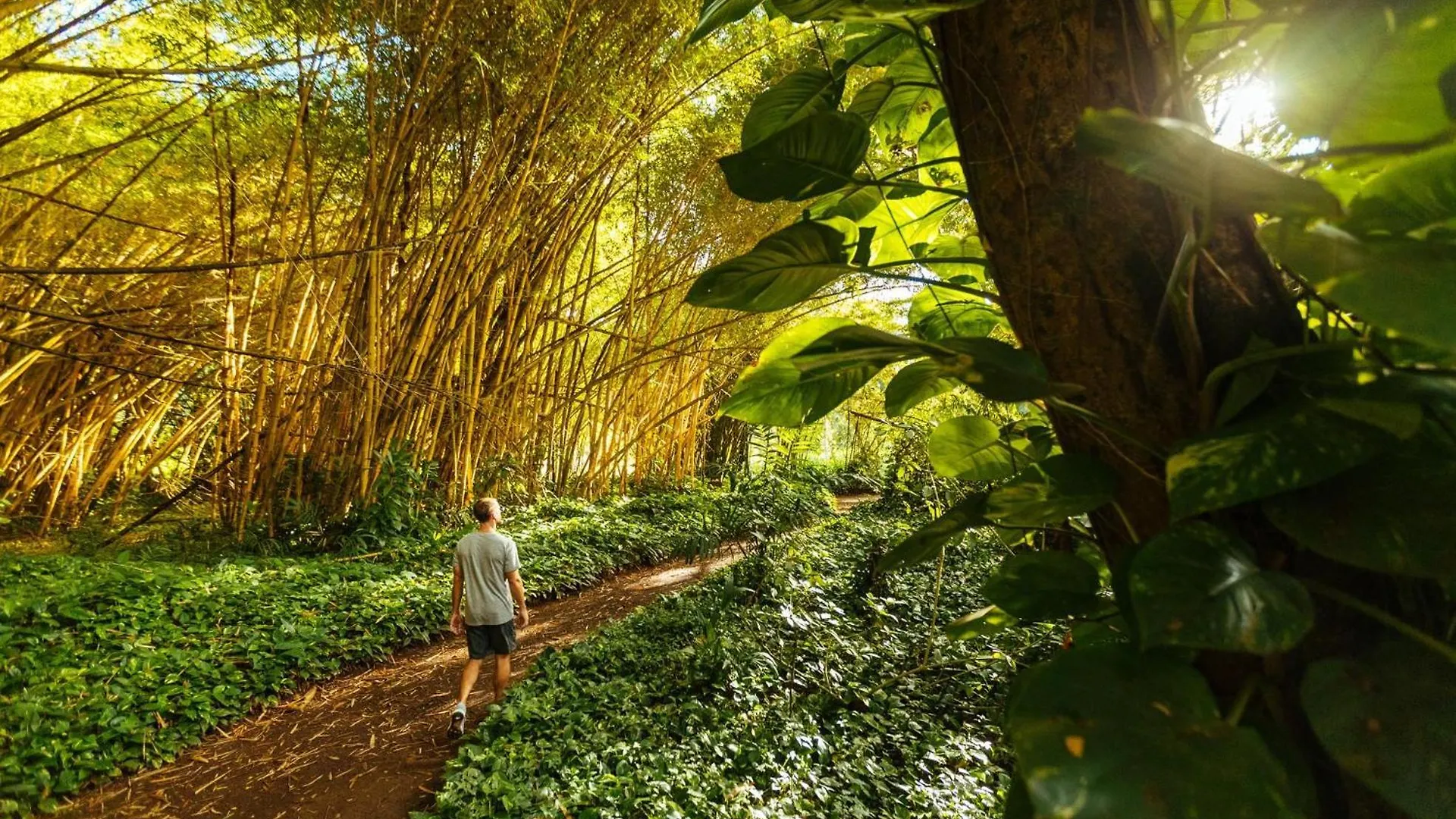 Сasa de vacaciones Villa Pali Ke Kua 201 Princeville Estados Unidos