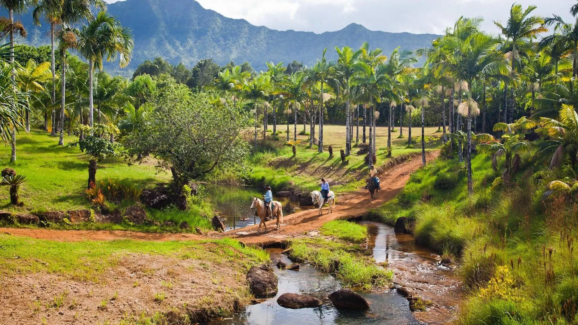Villa Pali Ke Kua 201 Princeville Estados Unidos