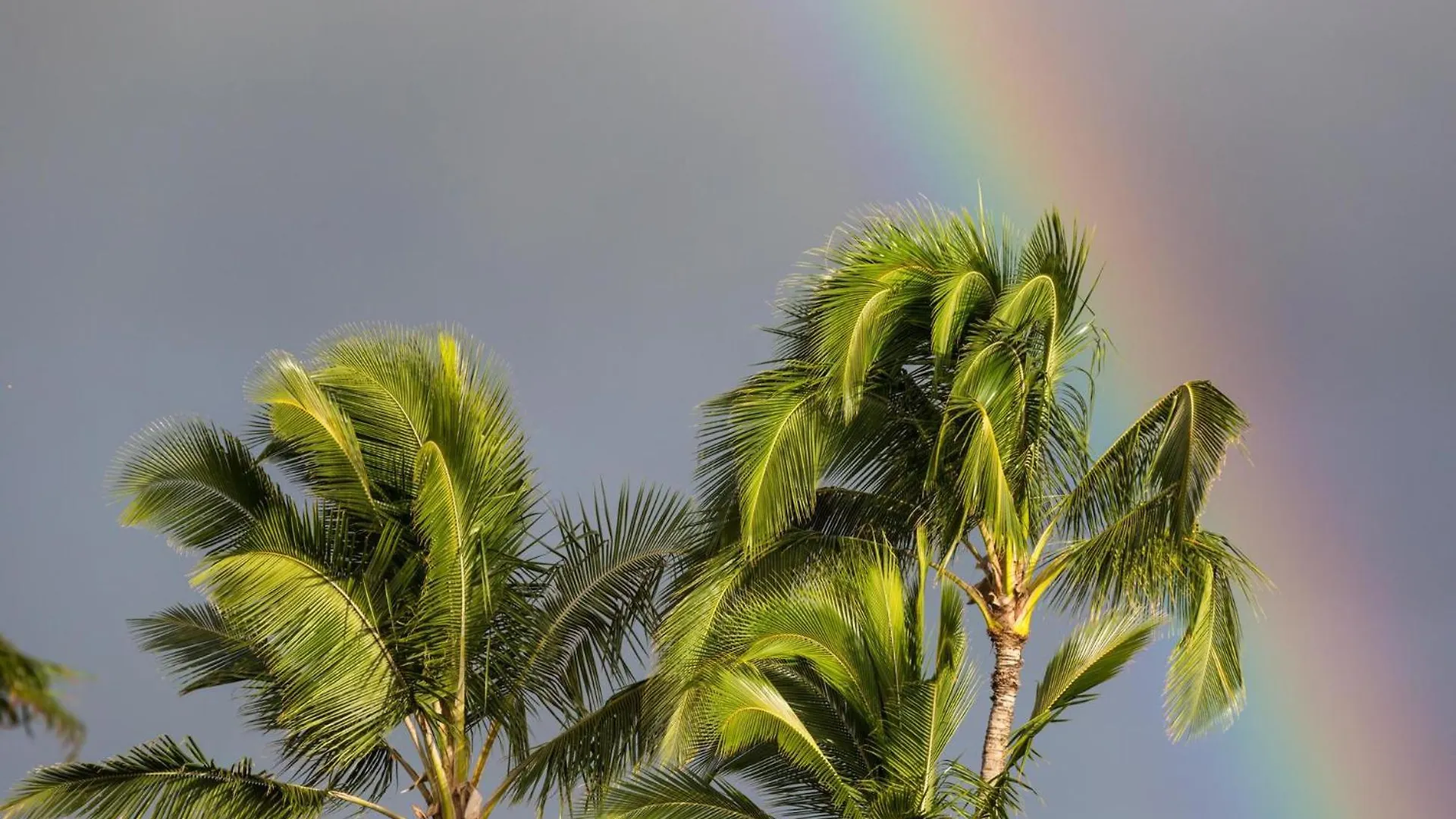 Villa Pali Ke Kua 201 Princeville 0*,  Estados Unidos